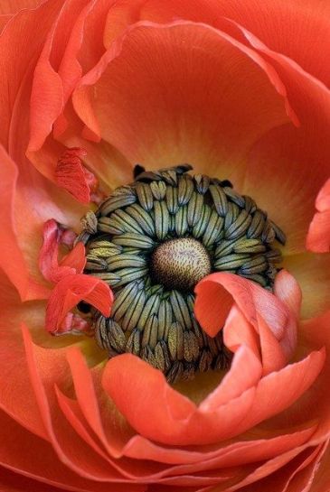 42d7f14de087ad0b97ebc35c13069b49