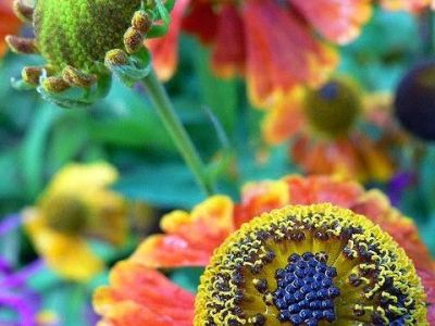 Isto de ter de&nbsp;ouvir