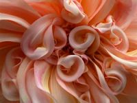 Negarmo-nos a Sentir