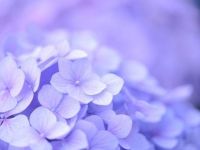 As diferenças que te trazem junto a&nbsp;mim