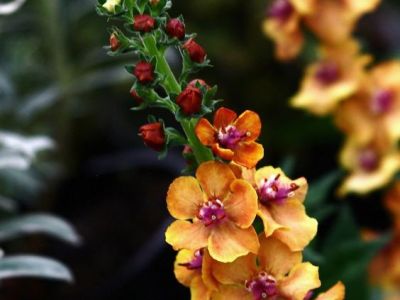 O Tempo pergunta ao&nbsp;Tempo