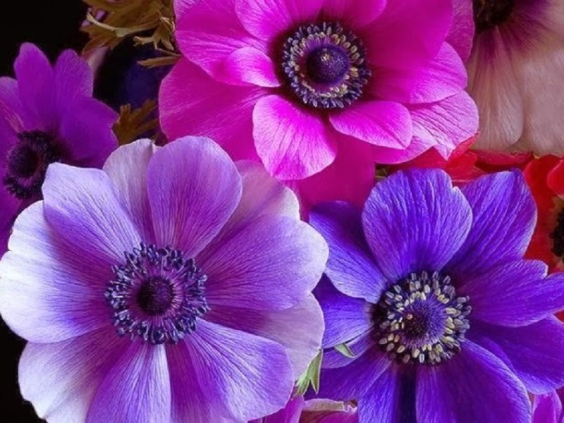 E se eu não fosse tão boa&nbsp;nisto?