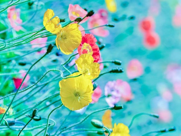 O que valorizamos &&nbsp;admiramos