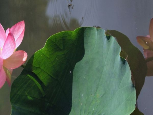 A cadeira onde te&nbsp;sentas