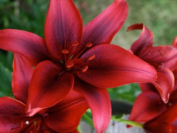 Isto de termos de&nbsp;mudar!?