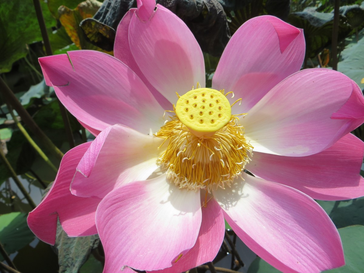 God, Love &&nbsp;Sex