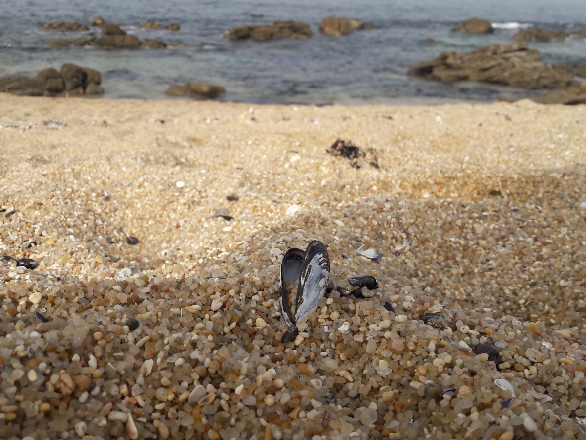 Isto que se passa&nbsp;aqui