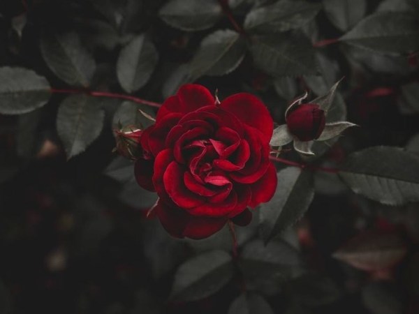 The Quest of Finding&nbsp;Love