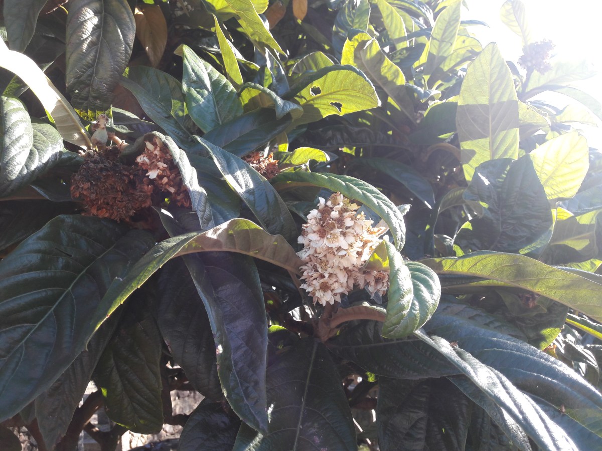 Contração e Expansão