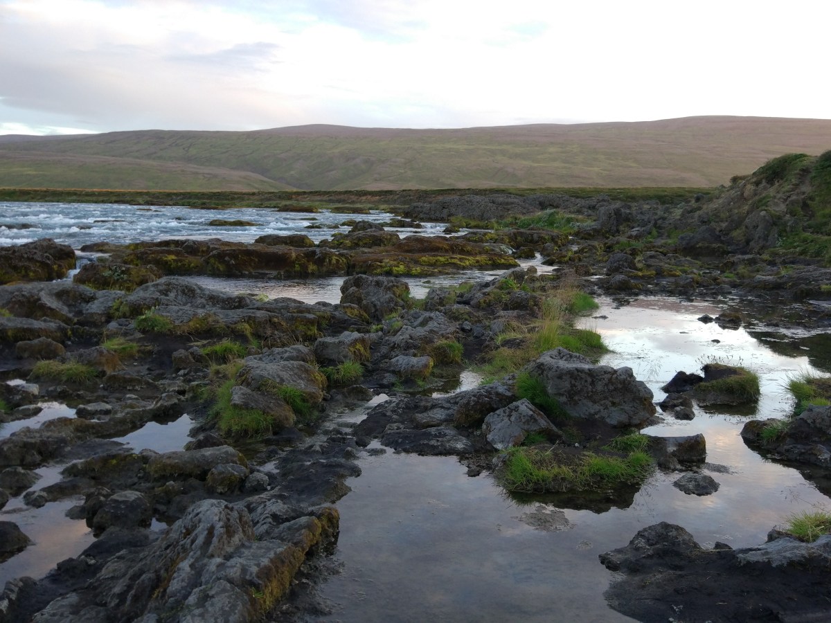 The Whole Fullness of&nbsp;Life