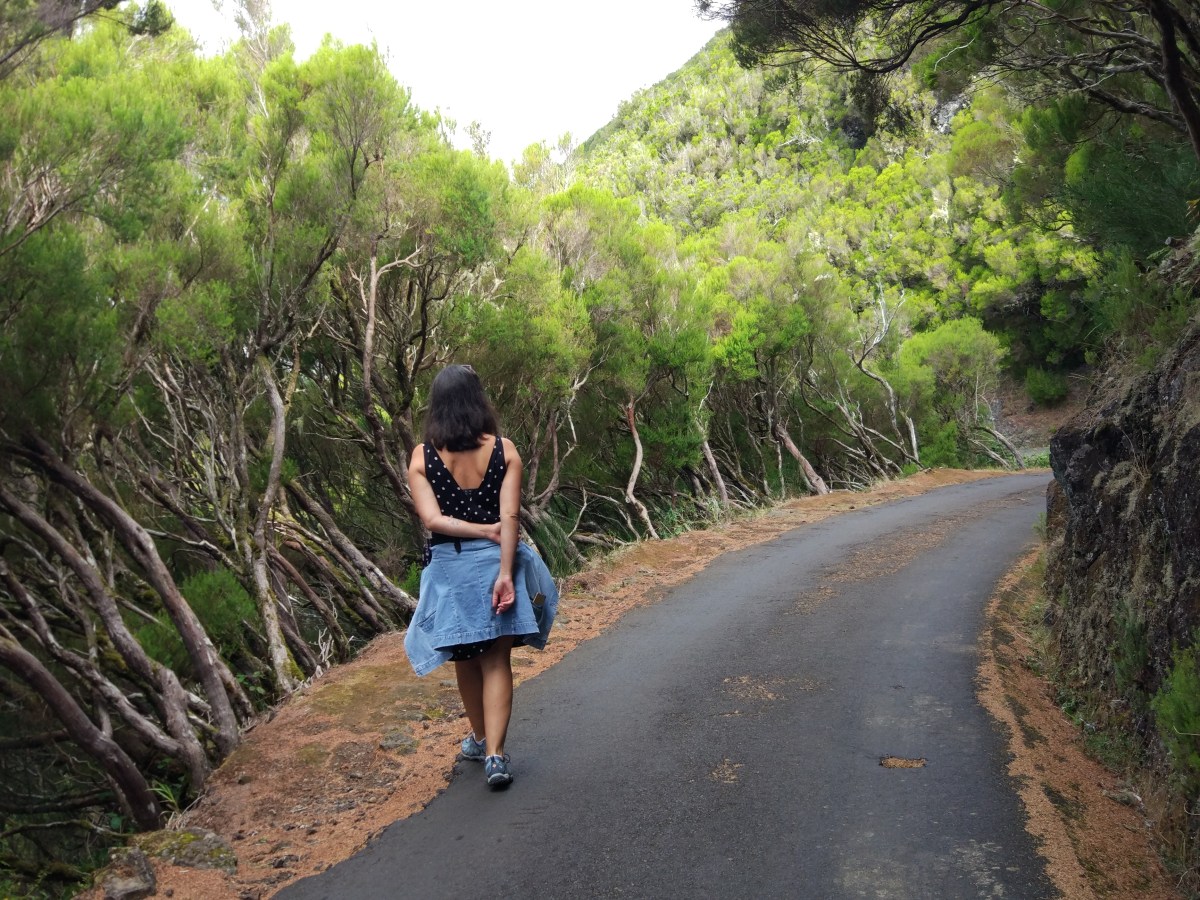 Back To The Basics&nbsp;(PT/EN)