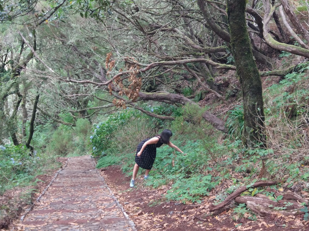 The Fragility of Our Strengths&nbsp;(PT/EN)