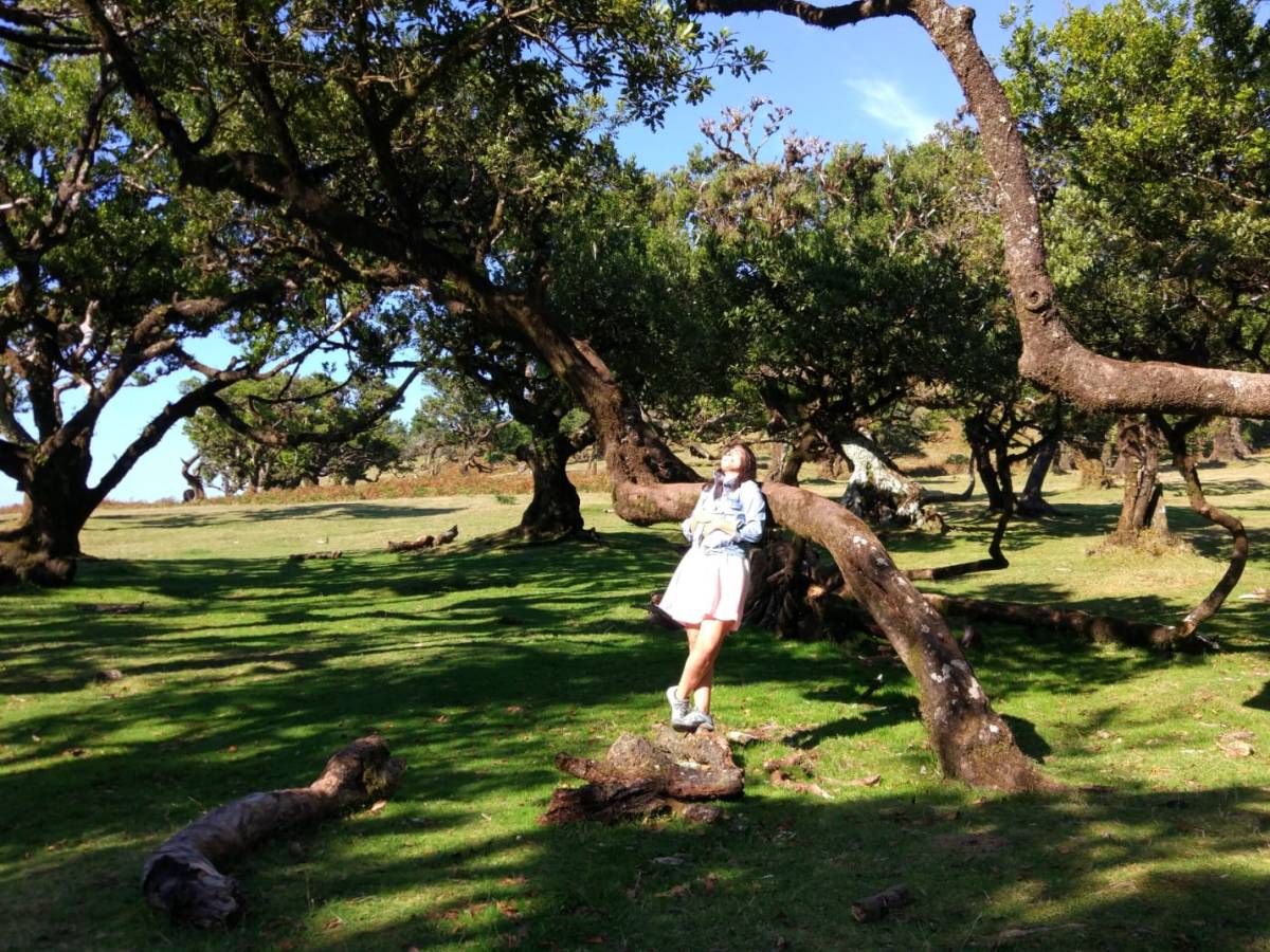 Luz da Minha&nbsp;Vida