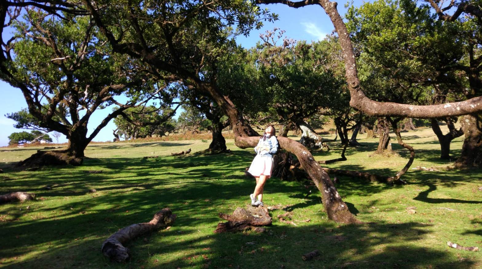 Luz da Minha&nbsp;Vida