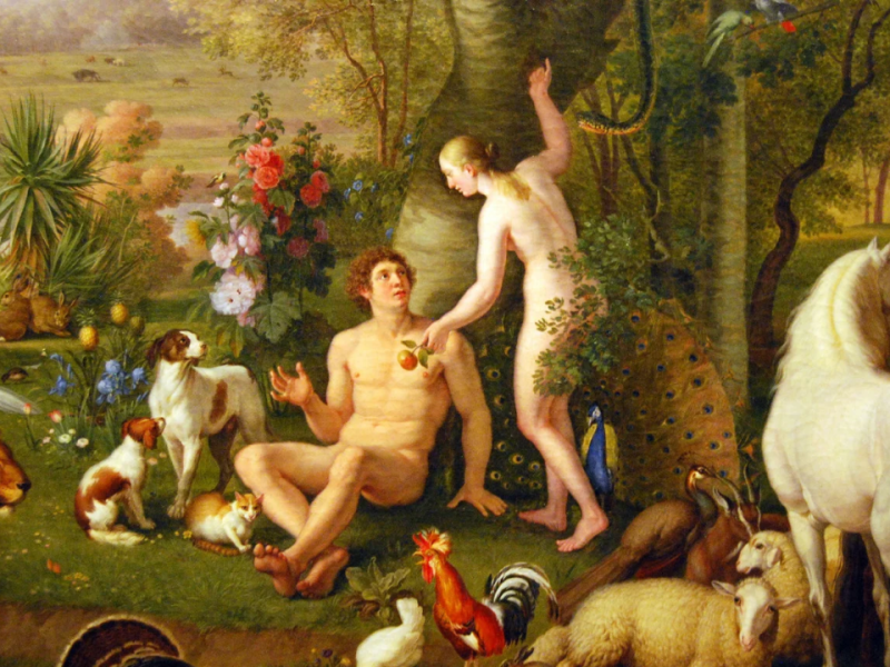 A Religião da&nbsp;Perfeição